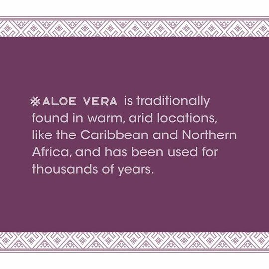 Aloe Vera Inner Leaf Gel & Juice Wild Berry, 33.8 Oz, NWA