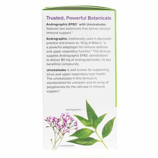 Andrographis EP80 with Umckaloabo, 60 Capsules, TNT