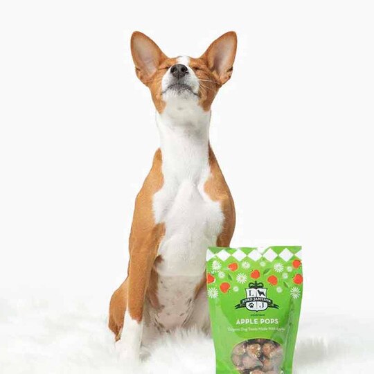 Apple Pops Vegan Dog Treats, 6 Oz, LJ