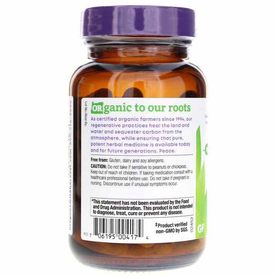 Astragalus Reishi, 90 Vegan Capsules, OWH