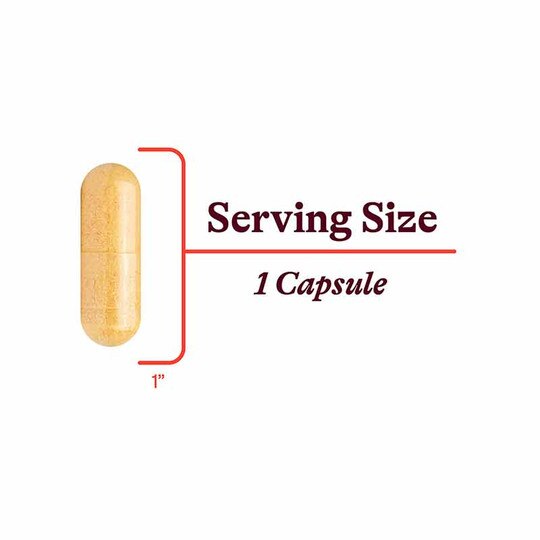 B-Minus B12 & Folate Free, 100 Veg Capsules, SKH