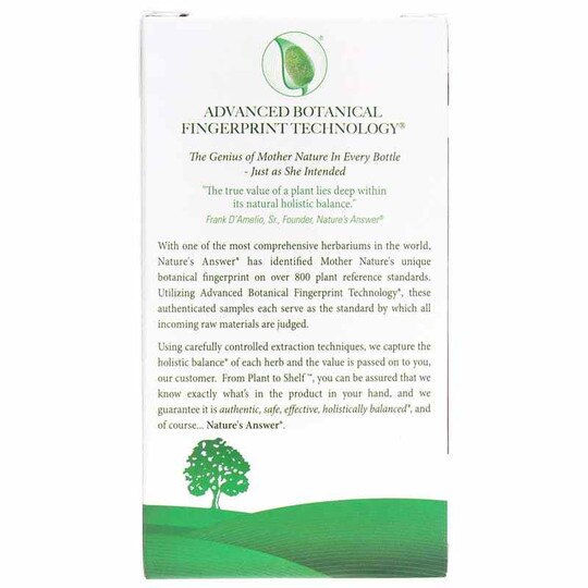 Bacopa 500 Mg, 90 Veg Capsules, NAN