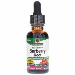 Barberry Root 1