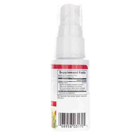 Bee Propolis Throat Spray, 1 Oz, NF