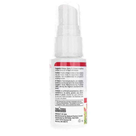 Bee Propolis Throat Spray, 1 Oz, NF