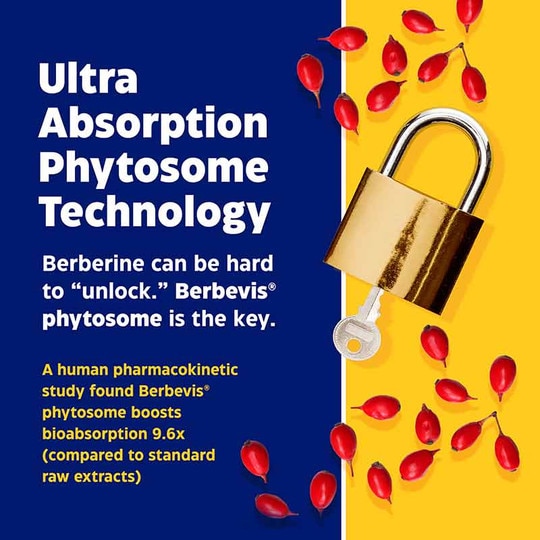 Berberine Phytosome, 60 Capsules, ENZ