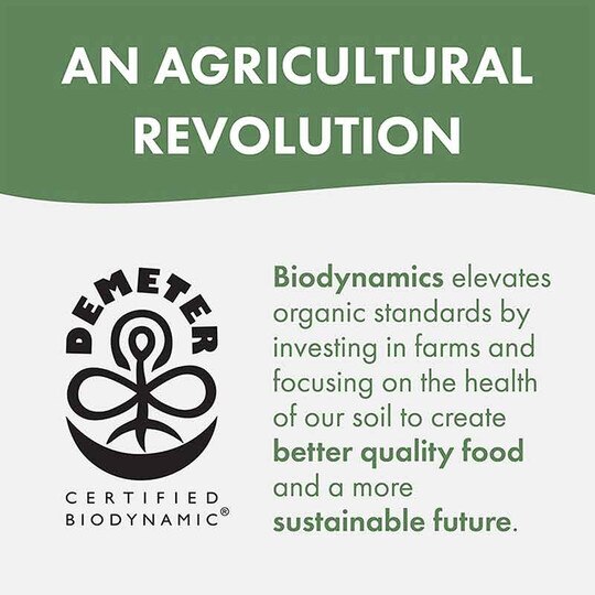 Biodynamic Fermented Ginger Powder Organic, 2.4 Oz, SOL