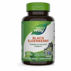 Black Elderberry 1