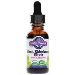 Black Elderberry Elixir 1