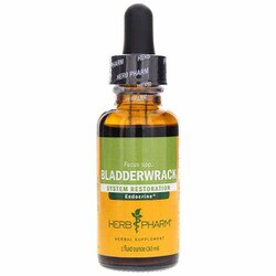 Bladderwrack Extract