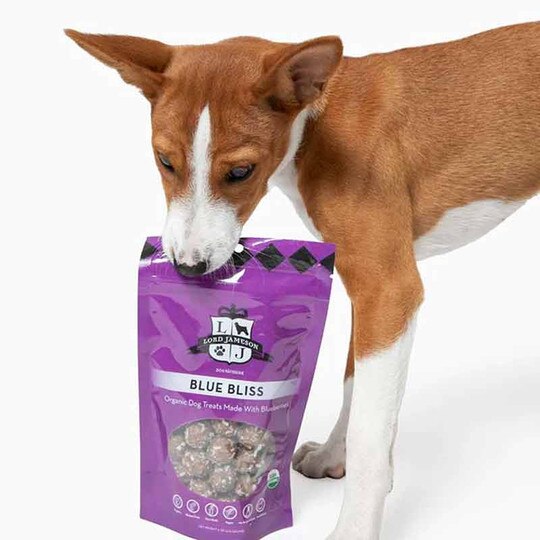 Blue Bliss Vegan Dog Treats, 6 Oz, LJ