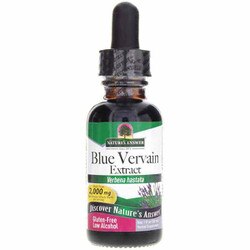 Blue Vervain
