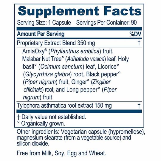 BronchoTone Pulmonary Support, 90 Veg Capsules, AY