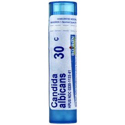 Candida Albicans 30C 1