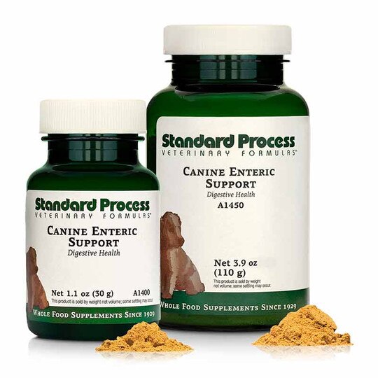 Canine Enteric Support, SP