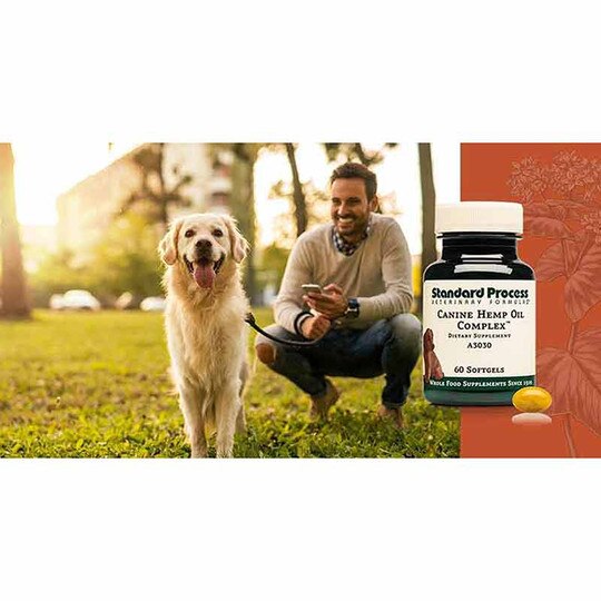 Canine Hemp Oil Complex, 60 Softgels, SP