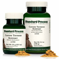Canine Thyroid Support 1