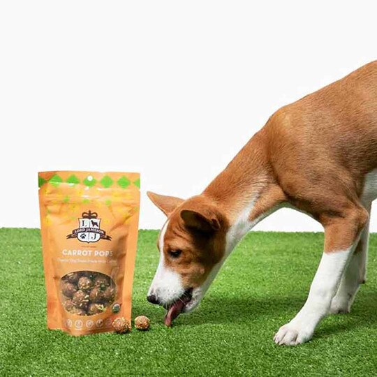 Carrot Pops Vegan Dog Treats, 6 Oz, LJ