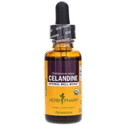 Celandine Extract