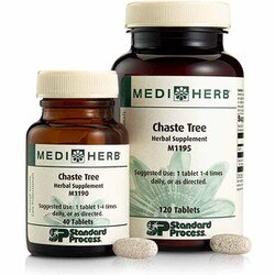 Chaste Tree