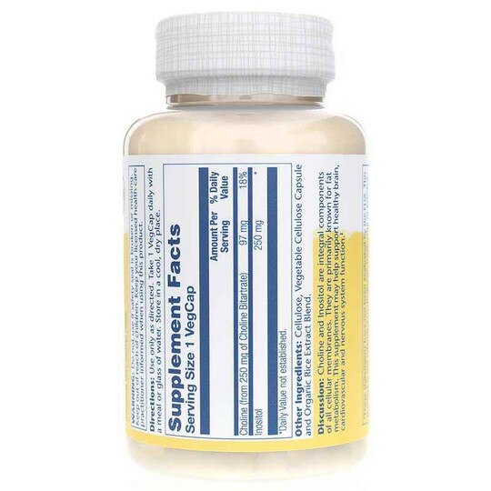 Choline & Inositol 250 Mg, 100 Veg Capsules, SLR