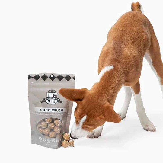 Coco Crush Vegan Dog Treats, 6 Oz, LJ