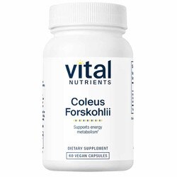 Coleus Forskohlii 90 Mg 1