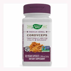 Cordyceps