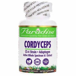Cordyceps
