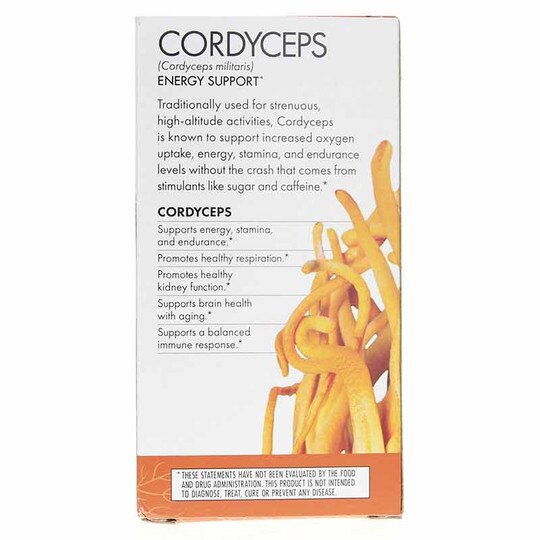 Cordyceps Energy Support, 120 Veg Capsules, HDF