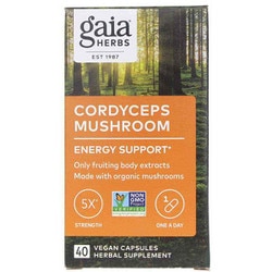 Cordyceps Mushroom Energy Support