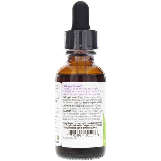 Dandelion Root Extract, 1 Oz, OWH
