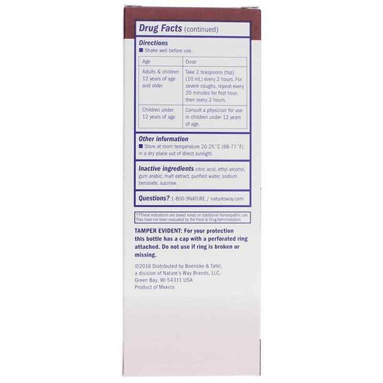 Daytime Cough & Bronchial Syrup, 8 Oz, BT