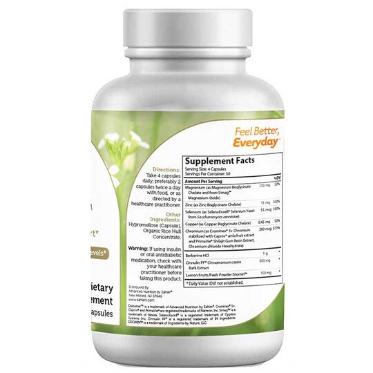 Diabetter Advanced Glucose Support, 120 Capsules, ZHL