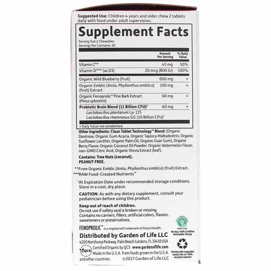 Dr. Formulated Brain Health Attention & Focus for Kids,, GOL