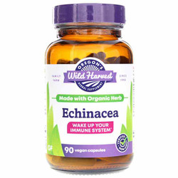 Echinacea 1