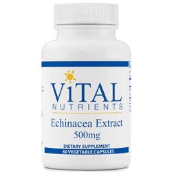 Echinacea Extract 500 Mg 1