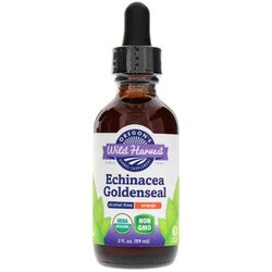 Echinacea Goldenseal Alcohol-Free