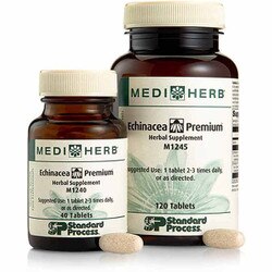 Echinacea Premium