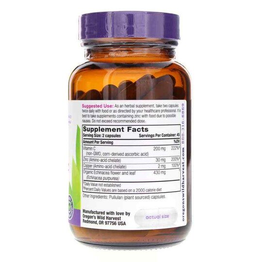 Echinacea with Zinc & Vitamin C, 90 Vegan Capsules, OWH