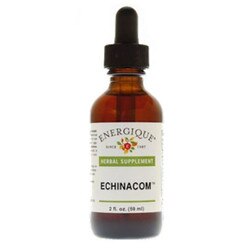 Echinacom 1