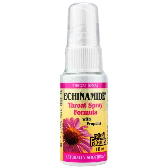 Echinamide Throat Spray Formula with Propolis, 1 Oz, NF