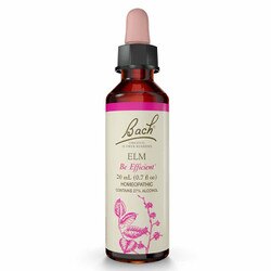 Elm Flower Essence 1