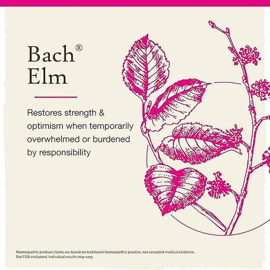 Elm Flower Essence, .7 oz, BFR