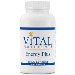 Energy Plus 1