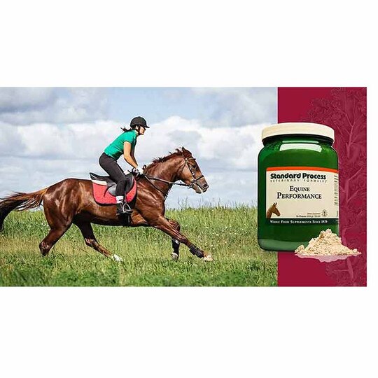 Equine Performance, 30 Oz, SP