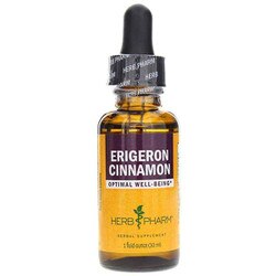 Erigeron Cinnamon
