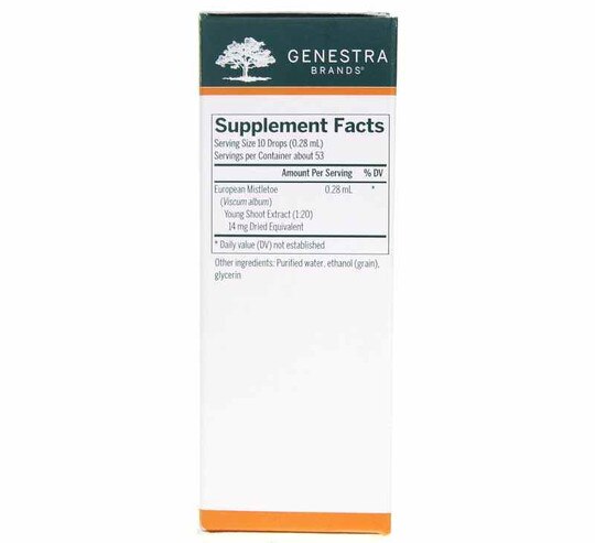 European Mistletoe Young Shoot, .5 Oz, GEN