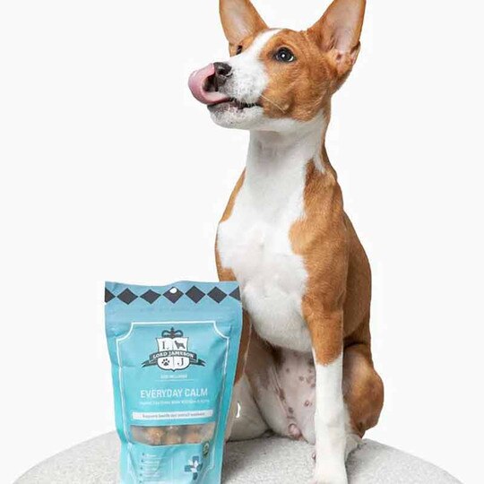 Everyday Calm Organic Dog Treats, 6 Oz, LJ