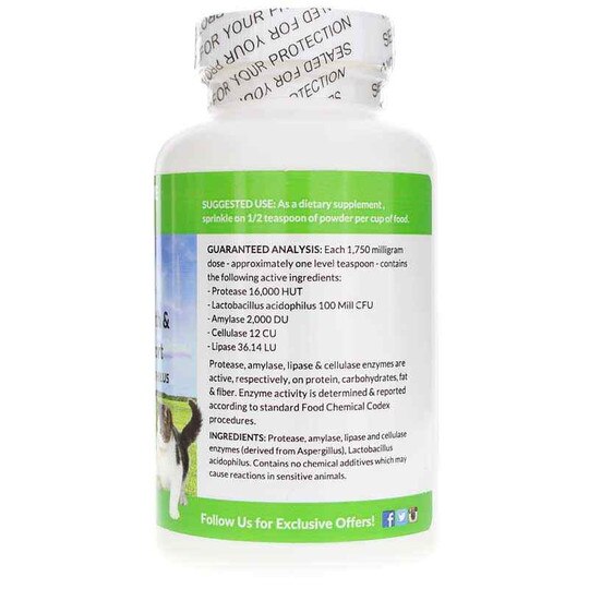 Feline Formula Digestive Enzymes, 4 Oz, DRG